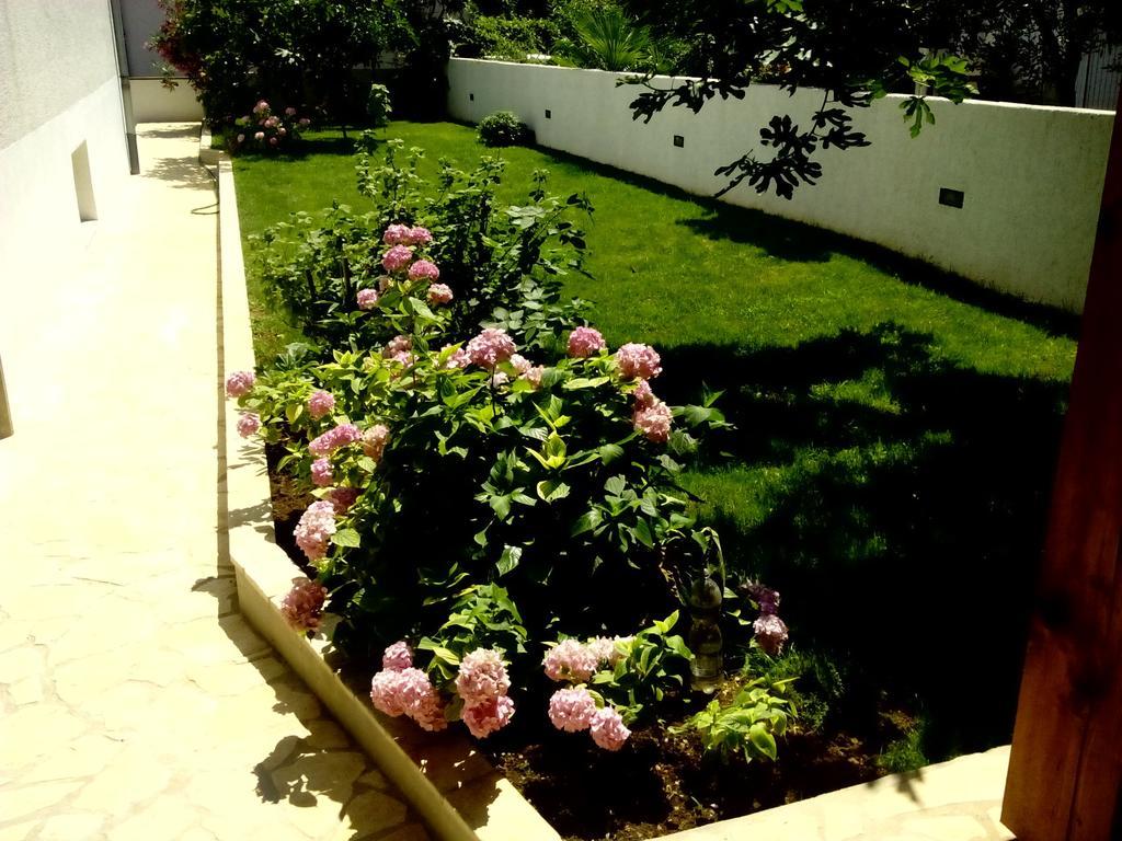 Apartments Peloza 포레치 객실 사진
